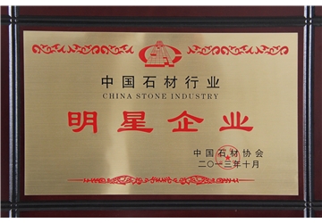 明星（xīng）企業
